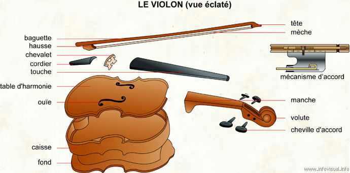 Le violon (vue éclatée)